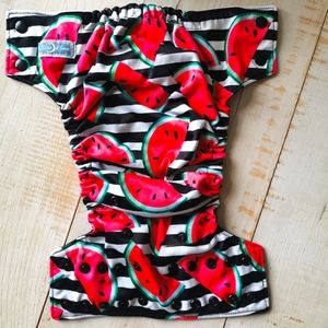 Bella Luna cloth diaper